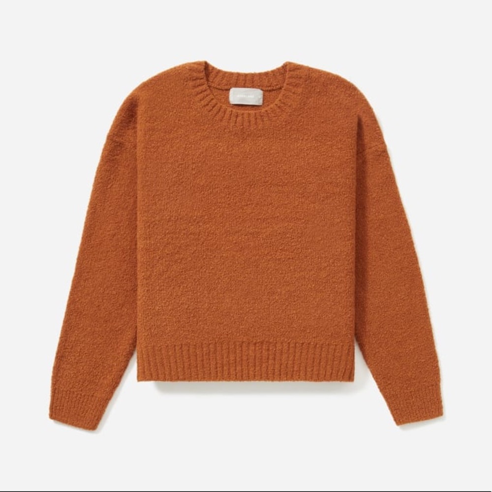 Everlane Teddy Crew Neck Sweater - Rust Color